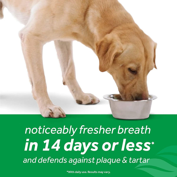 TropiClean - Fresh Breath Plaque Remover Pet Water Additive, 16 Oz - PetStore.ae