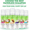 TropiClean - Waterless CAT Shampoo Dander Reducing - PetStore.ae