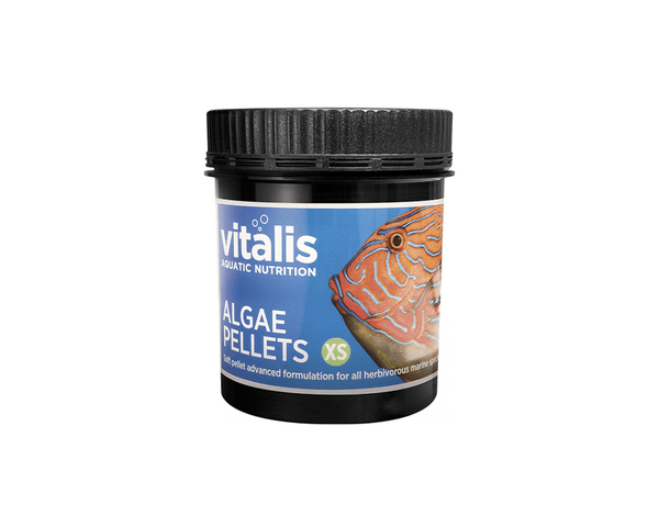 Algae Pellets (XS) - Fish Food - Vitalis - PetStore.ae