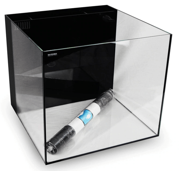 Cube 10 Glass Aquarium (350 x 361 x 350 mm) - WaterBox - PetStore.ae