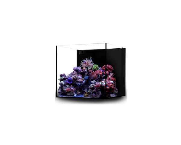 Cube 20 Glass Aquarium (450 x 450 x 400 mm) - WaterBox - PetStore.ae