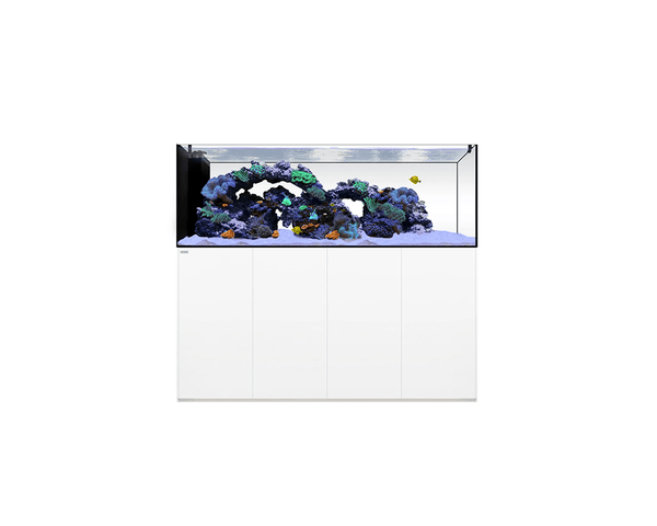 Peninsula 7225 Aquarium (1836L x 643W x 1500H mm)- WaterBox - PetStore.ae