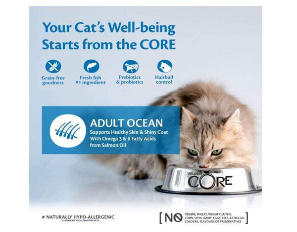 WELLNESS CORE - CD Ocean Salmon with Tuna Recipe - PetStore.ae
