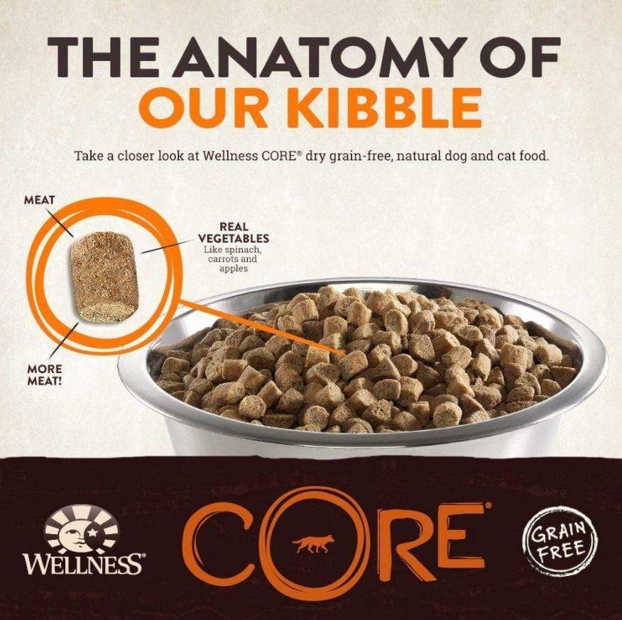 Small Breed Adult Ocean Salmon with Tuna Recipe Dry Dog Food