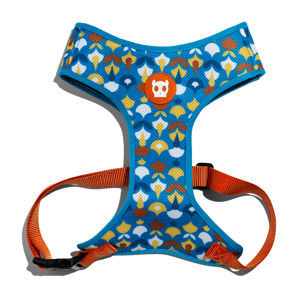Orange dog harness best sale